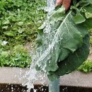 2020농장 이미지