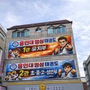 용인대 명성 태권도 네이버블로그