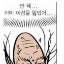 수성뽈락 이미지