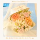 켈리플레르 이미지