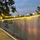 프린세스 애견 이미지