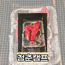 청춘셀프24 | 태안 청춘캠프 글램핑 후기 | 실제 이용리뷰부터 근처 놀거리까지