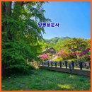 용문산관광지(주차장화장실) | 경기도 절 추천! 부처님오신날 가볼만한절 양평 용문사 주차 정보부터 1100년 은행나무까지