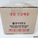 철이네안전