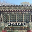 스테이우연 | 해남 미황사 1박 2일 템플스테이 후기