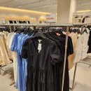 초복이네동물농장 | 2025년 7월 3째주~4째주 주간일상, 주간밥상