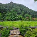 상천테마공원(주차장) 이미지