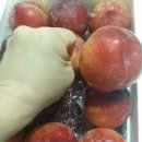 장양농장 이미지