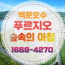 백운산 숲속의 아침 이미지