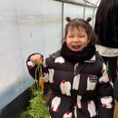 춤새마을농촌체험마을 | 양평외갓집체험마을 아이와 가기 좋은 농촌체험 추천 후기/7세아이와 방문후기/풀코스/필수준비물/장단점