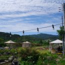 카페다올 이미지