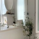 사우다지 이미지