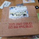 얼음골사과 | 과채팡팡 밀양 얼음골 부사 사과 솔직 후기