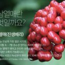 진생칸 이미지