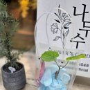 주흥길 24 이미지