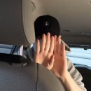 밀바라기 이미지