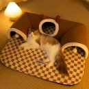 천둥소리 | 🌩️ 천둥소리 무서워하는 고양이, 아늑한 '이것'이 필수인 이유