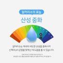 알카리수