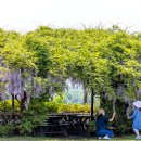 푸름목장 이미지