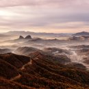 (주)레몬 이미지