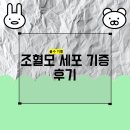 내포적십자사 | [공지] 골수기증 / 조혈모세포기증 후기