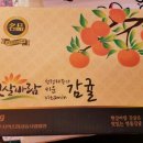 해돋이청과 이미지