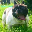 ZANYCAMP(재니캠프) 이미지