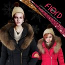 피오르(Fiord) 이미지