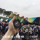 미스터컷트클럽 | 2018 벤츠 기브앤레이스 마라톤 10K 후기