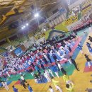 태풍태권도체육관 이미지