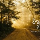 주일학교에서의 창조절행사 이미지