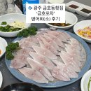 금호 | 광주 금호동 횟집 갑오징어 맛집 | 금호포차 병어회 후기