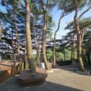 해미(海美)의 3일 이미지