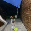 대봉사슴 이미지