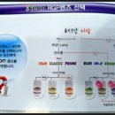 아이앤스타일 이미지