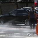 동북 이미지