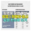 팬이라면 무조건 알아야 할 『임영웅 2026달력』 구매 필승 정보 공개합니다 이미지