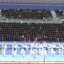 국제고려태권도 이미지