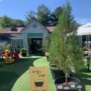 검성로-14 이미지