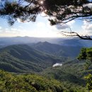 단풍두부 이미지