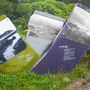 소남머리 이미지