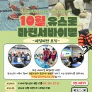 [시립금천청소년센터] 유스로 마린서바이벌 패밀리편 이미지