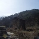 향-고향의 봄 이미지