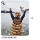 저스틴아일랜드