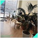 대전독일보청기 | 대전 보청기 후기 도안독일보청기 건양대점에서 경험한 소리의 변화^^