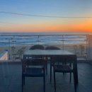 파니아토 이미지