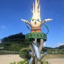 옥천 묘목공원 수국 이미지