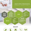 호매실드림내과의원 이미지