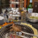 신갈매기 이미지