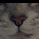 동암동물병원 이미지